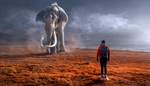fantasy, elephant, man, composite, surreal, tusks, elephant trunk, giant, landscape, mystical, dream, fairytale, fantastic, mythical creatures, mammoth, photomontage, monstrous, gigantic, encounter, fantasy, elephant, elephant, elephant, elephant, elephant, man, man, man, man, dream