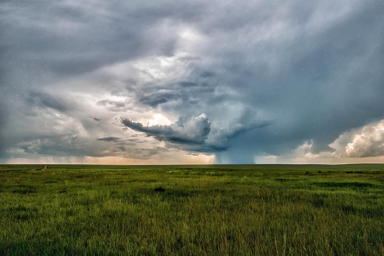 landscape, mongolia, mongolia eastern, dollars non plains, step, horizon, nature, storm, meadow, grass, field, cloud, sky, rain