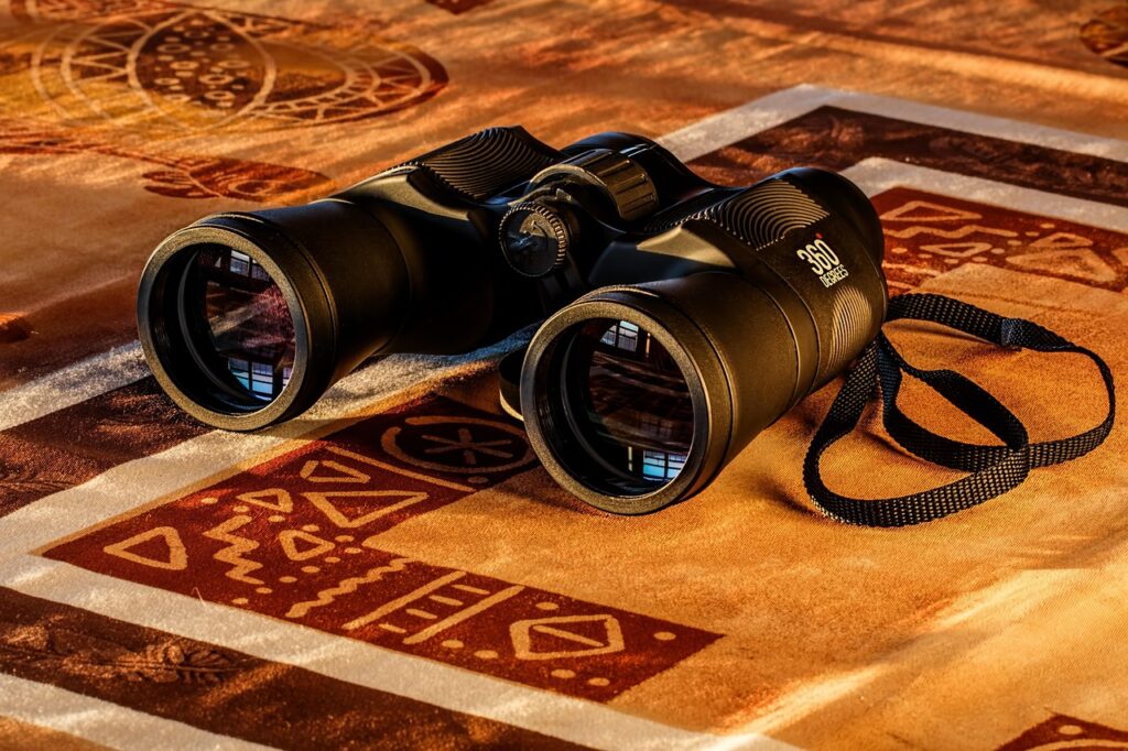binoculars, lenses, vision, field glasses, optical instrument, optical device, binoculars, binoculars, binoculars, vision, vision, vision, vision, vision
