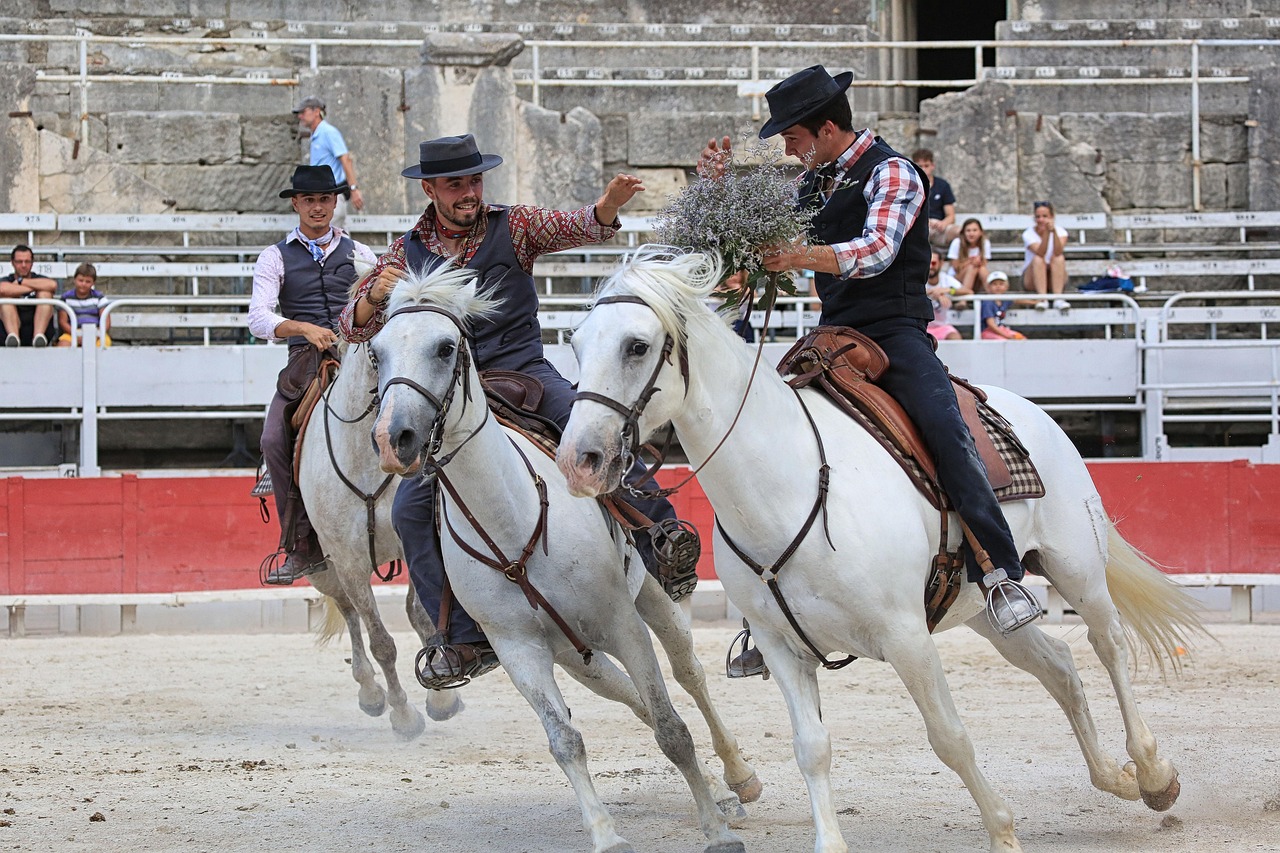 horses, mane, mare, white, mammals, gallop, horse riding, standard, games