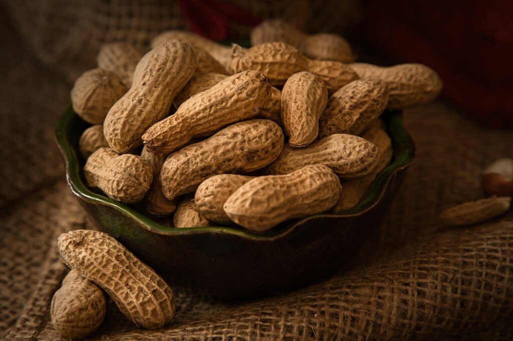 peanuts, nuts, food, snack, healthy, yummy, nutshell, roasted, kernels, shell, jute, material, still life