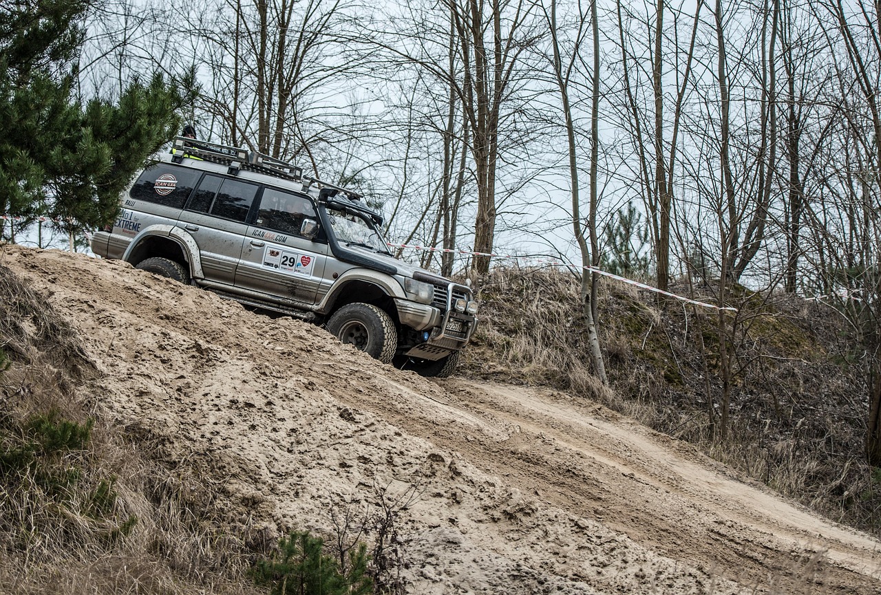 rally, mitsubishi, pajero, automotive, the vehicle, off-road rally, offroad, area, off road, mitsubishi, mitsubishi, mitsubishi, mitsubishi, mitsubishi, pajero, pajero, pajero, pajero, pajero, off road