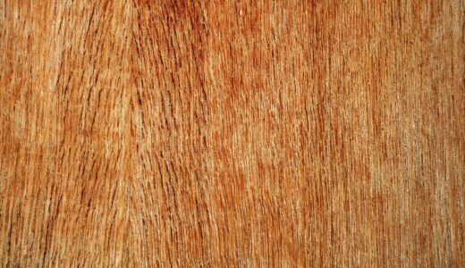 plywood, wood, texture, material, graphic, design, material collection, plywood, plywood, plywood, plywood, plywood