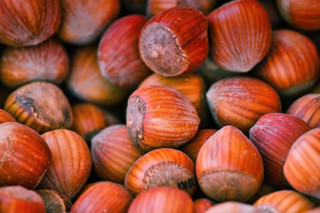 hazelnuts, snack, harvest, nuts, nutrition, treat, food, hazelnuts, hazelnuts, hazelnuts, nuts, nuts, nuts, nuts, nuts