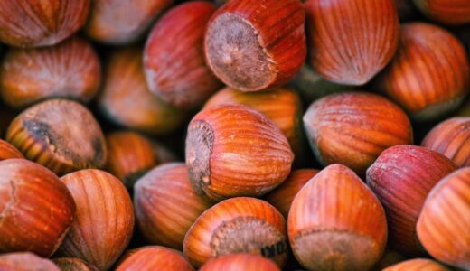hazelnuts, snack, harvest, nuts, nutrition, treat, food, hazelnuts, hazelnuts, hazelnuts, nuts, nuts, nuts, nuts, nuts