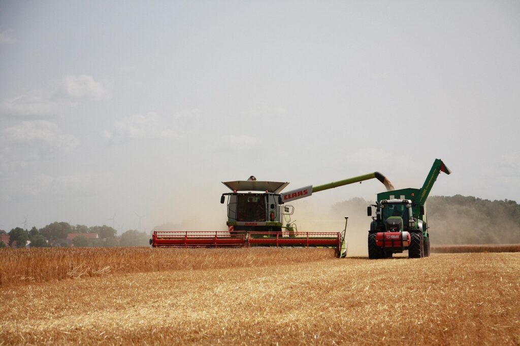 harvest, agriculture, summer, grain, tractor, farmer, nature, fields, combine harvester, farm, harvest, harvest, harvest, agriculture, agriculture, agriculture, tractor, tractor, tractor, tractor, tractor