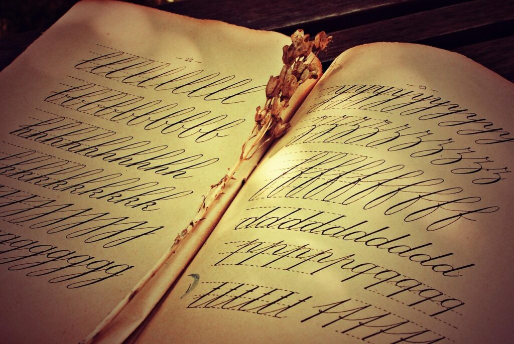 page, writing, learn, old book, vintage, example, open book, example, example, example, example, example