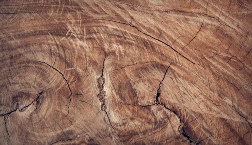 wood, free wallpaper, hd wallpaper, wallpaper 4k, free background, mac wallpaper, windows wallpaper, brown, wooden, close up, laptop wallpaper, surface, 4k wallpaper, desktop backgrounds, texture, wallpaper hd, brown texture, 4k wallpaper 1920x1080, beautiful wallpaper, full hd wallpaper, brown wood, cool backgrounds, wallpaper, background