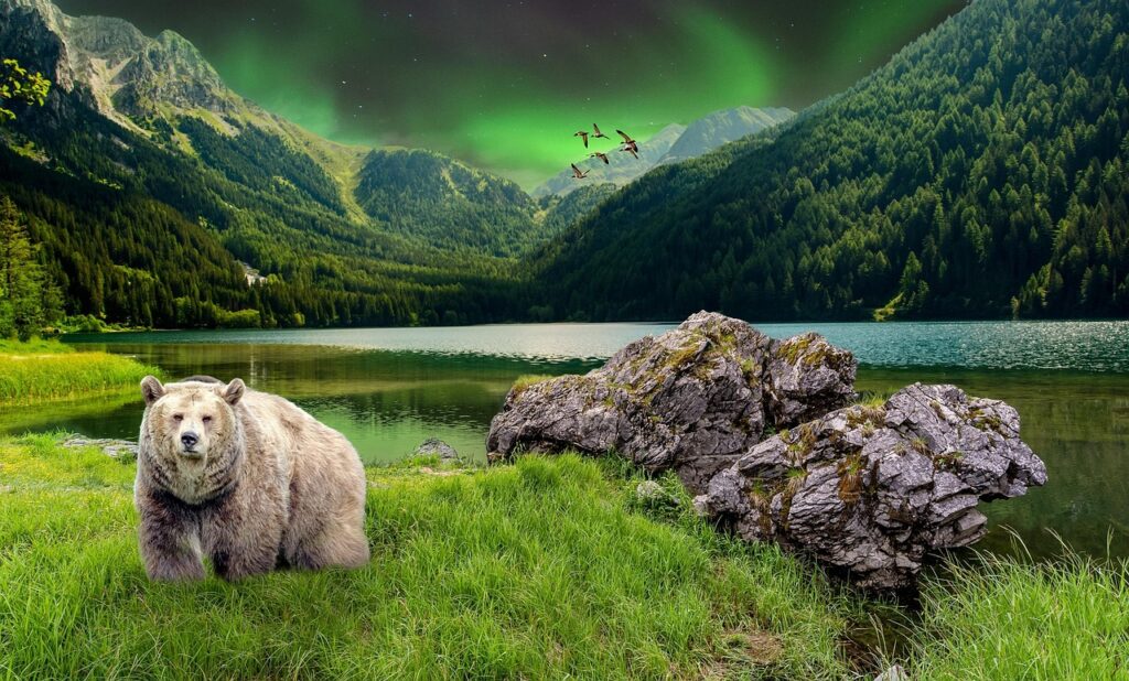 mountains, lake, aurora, rocks, brown bears, grizzly bears, forest trees, composite, nature
