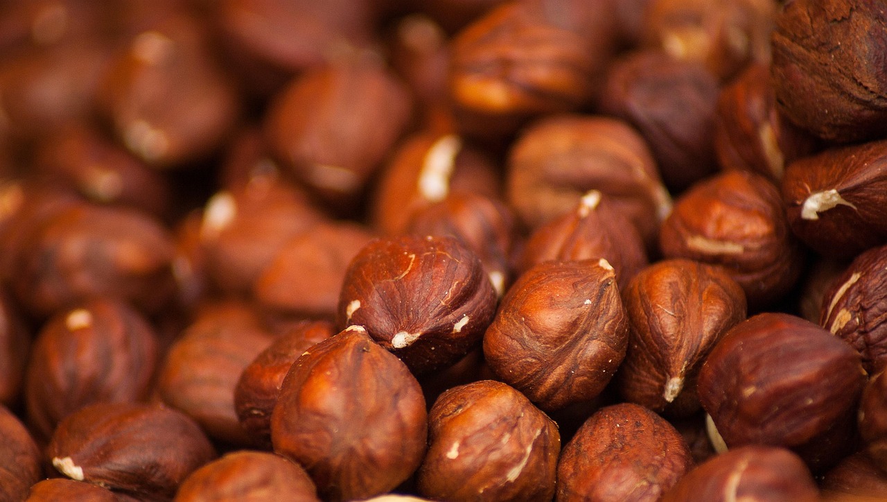 hazelnuts, hazel, nuts, dried, protein, food, snack, brown food, hazelnuts, hazelnuts, hazelnuts, hazelnuts, hazelnuts, hazel, nuts, nuts, nuts, nuts, protein