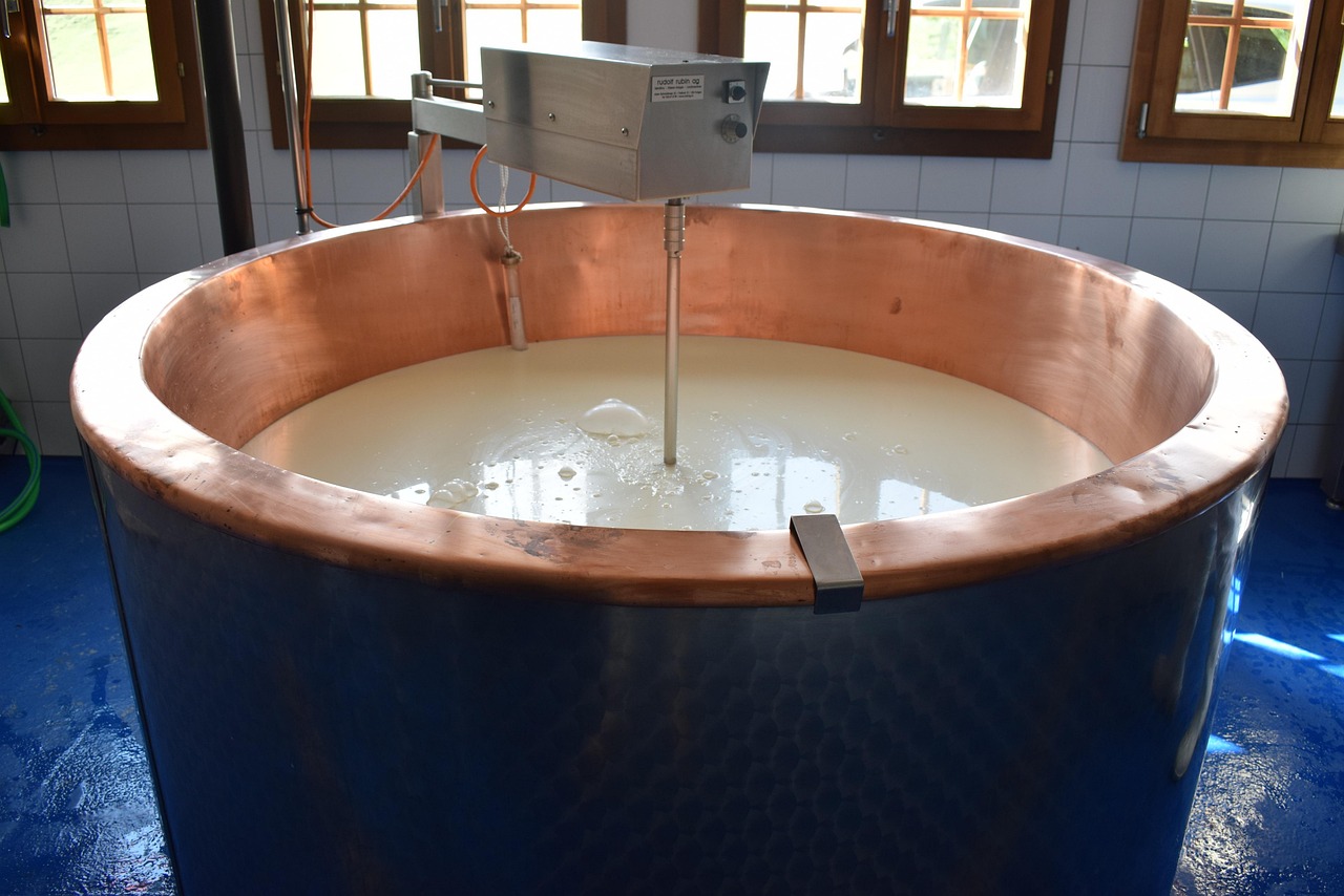 cheese, whey, manufacturing, whey, whey, whey, whey, whey