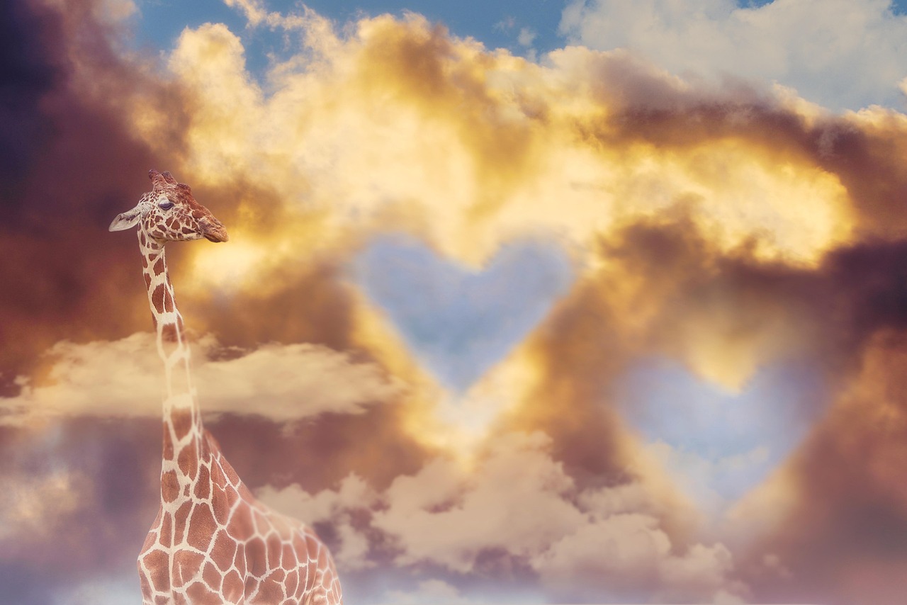 giraffe, clouds, nature, sky, composite, mammal