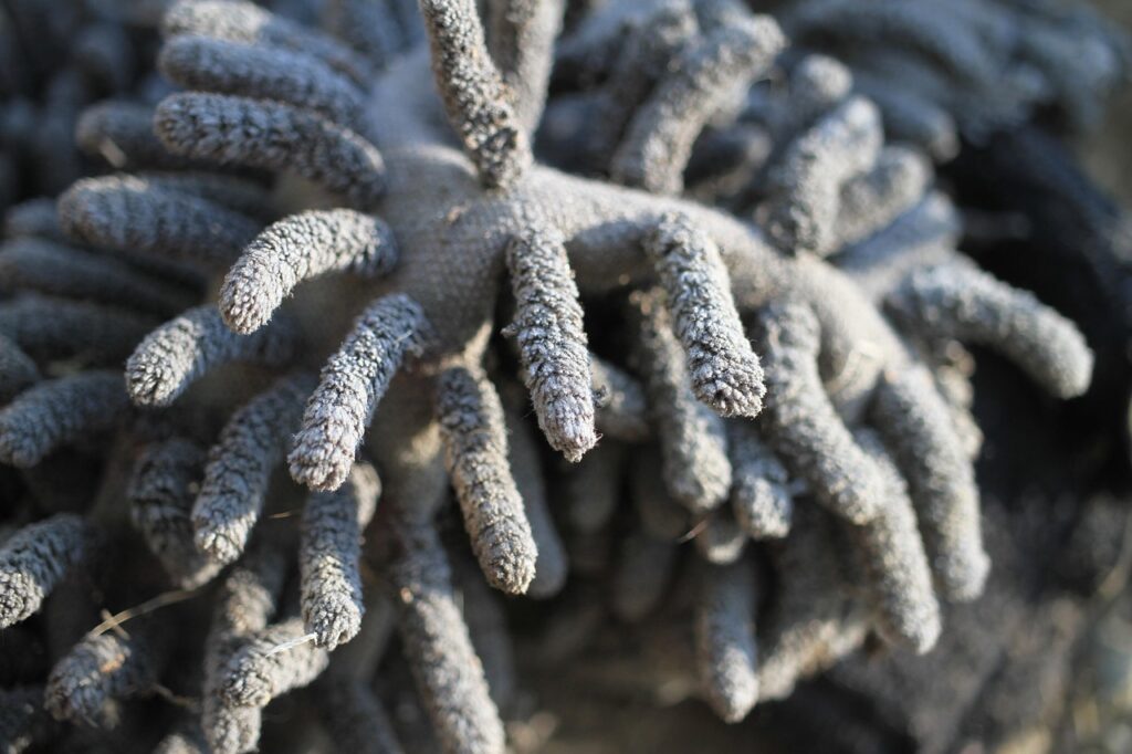 mop, micro fiber, mikrofasermopp, fray, dirty, artifact, handmopp, washcloth, cleaning cloth, mop, mop, mop, mop, mop