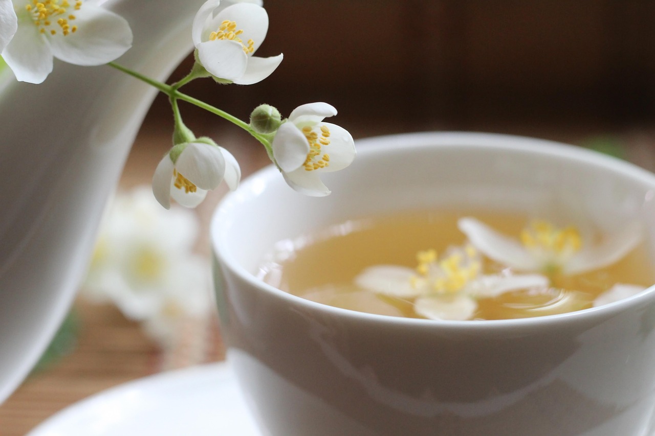 jasmine, bloom, flowers, flower wallpaper, nature, still life, cup, flower background, beautiful flowers, white, petals, decor, scent